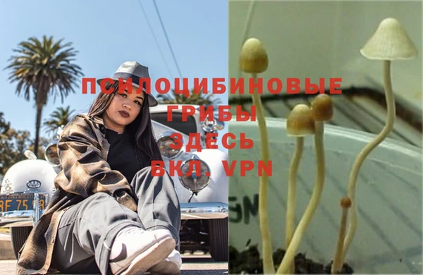 mix Белокуриха
